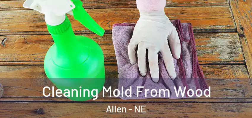  Cleaning Mold From Wood Allen - NE