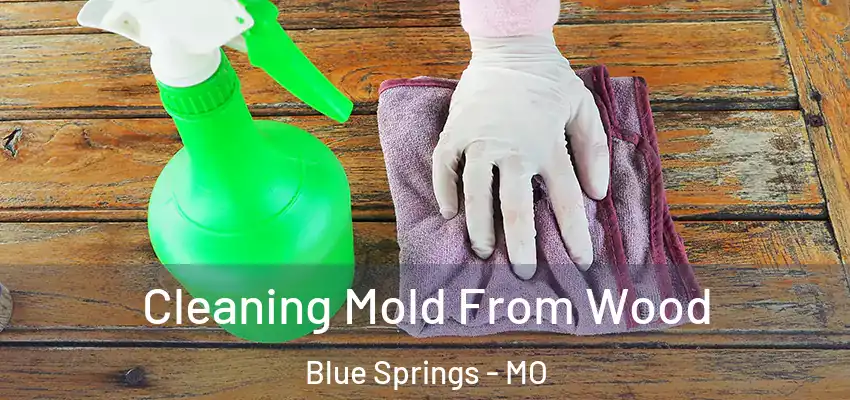  Cleaning Mold From Wood Blue Springs - MO