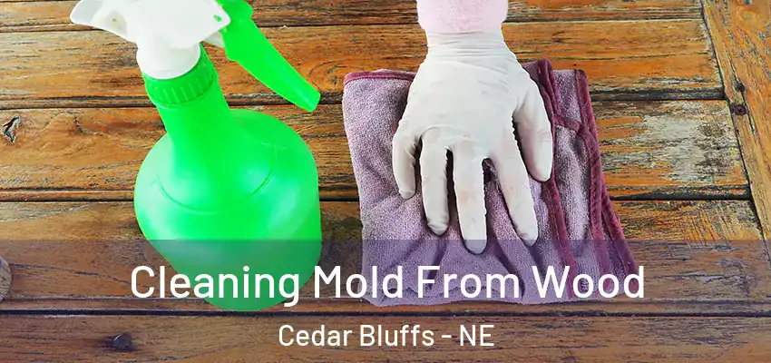  Cleaning Mold From Wood Cedar Bluffs - NE