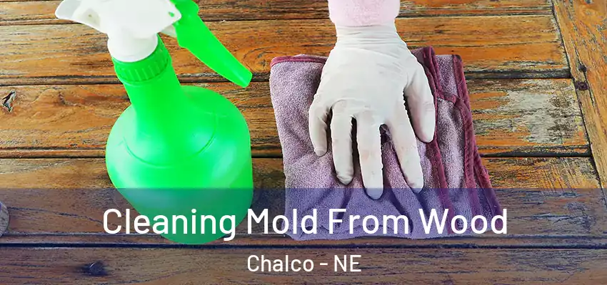  Cleaning Mold From Wood Chalco - NE