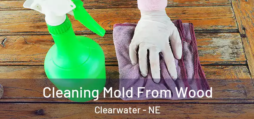  Cleaning Mold From Wood Clearwater - NE