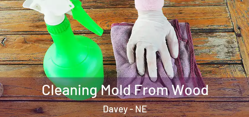  Cleaning Mold From Wood Davey - NE