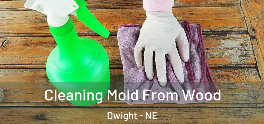  Cleaning Mold From Wood Dwight - NE