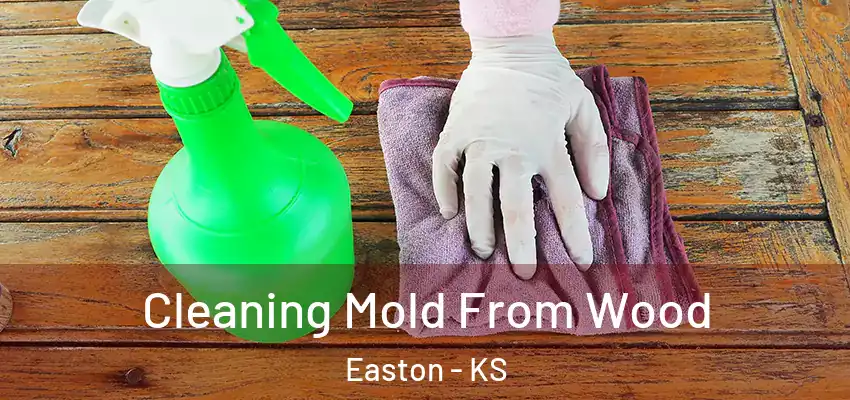  Cleaning Mold From Wood Easton - KS