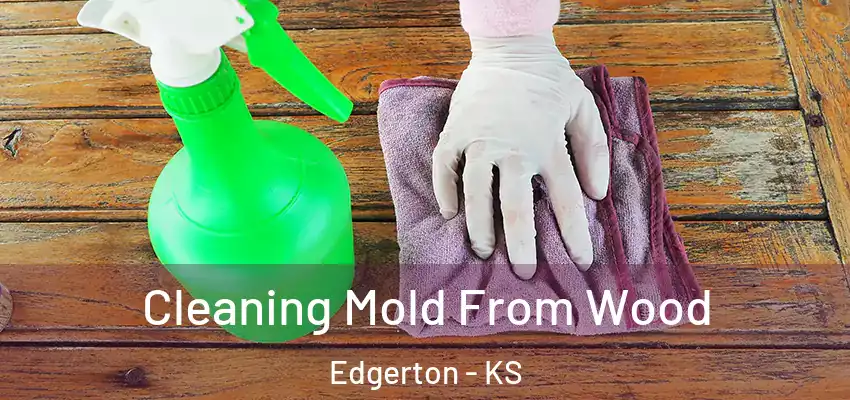  Cleaning Mold From Wood Edgerton - KS
