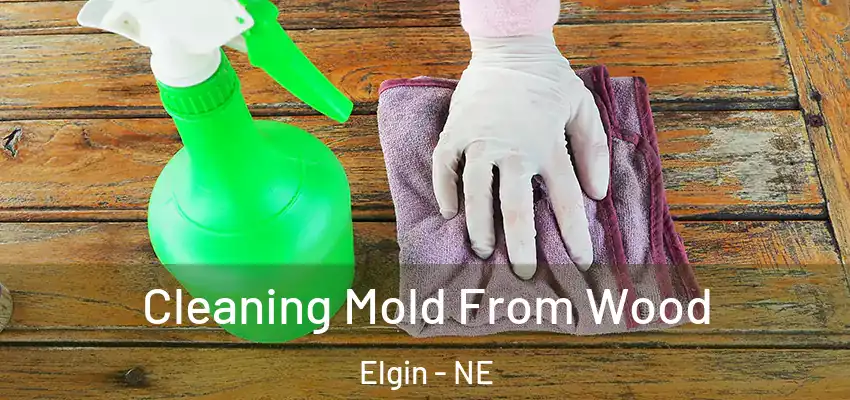  Cleaning Mold From Wood Elgin - NE