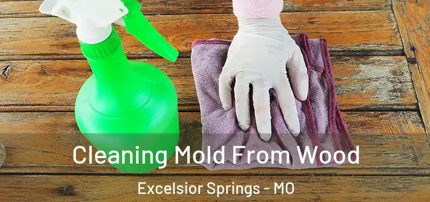 Cleaning Mold From Wood Excelsior Springs - MO
