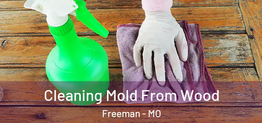  Cleaning Mold From Wood Freeman - MO