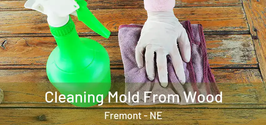  Cleaning Mold From Wood Fremont - NE