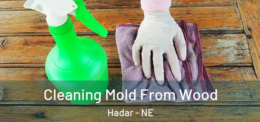  Cleaning Mold From Wood Hadar - NE