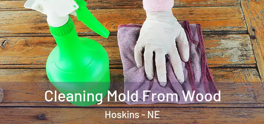  Cleaning Mold From Wood Hoskins - NE