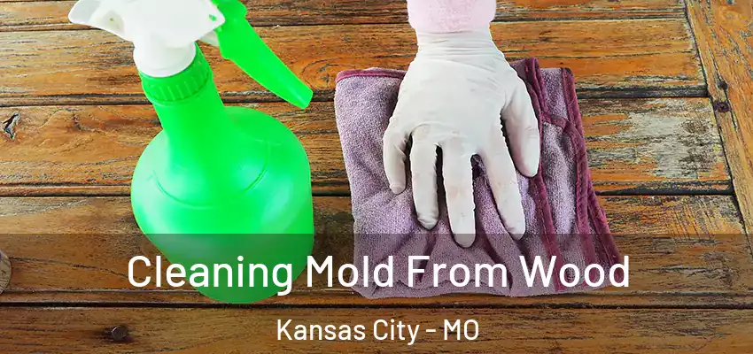  Cleaning Mold From Wood Kansas City - MO