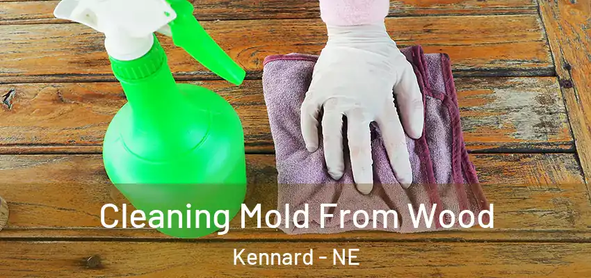  Cleaning Mold From Wood Kennard - NE