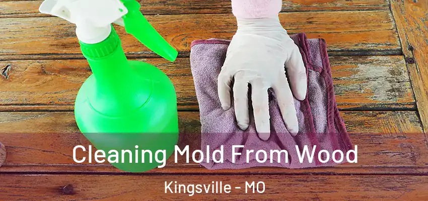 Cleaning Mold From Wood Kingsville - MO