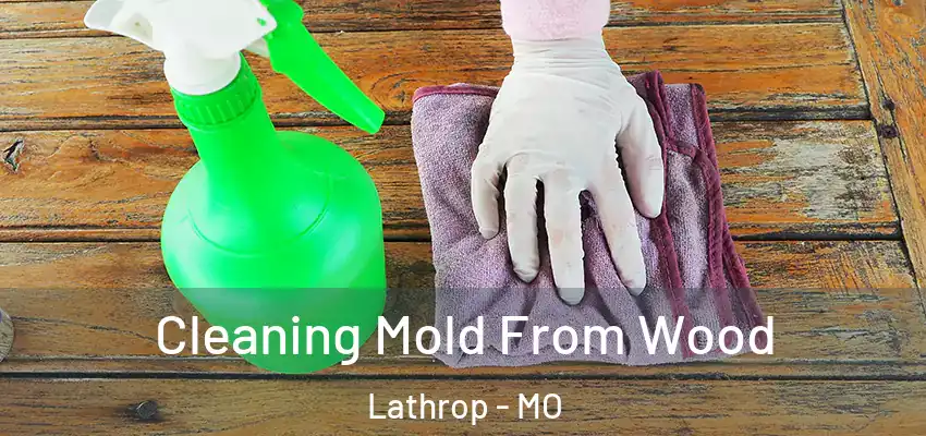  Cleaning Mold From Wood Lathrop - MO