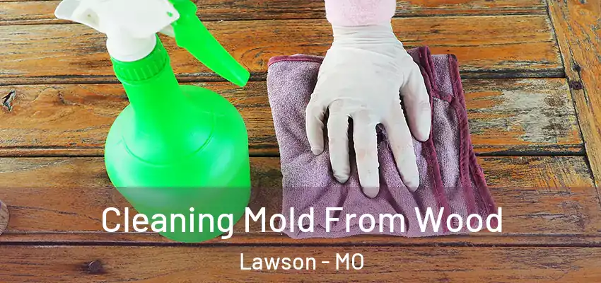  Cleaning Mold From Wood Lawson - MO