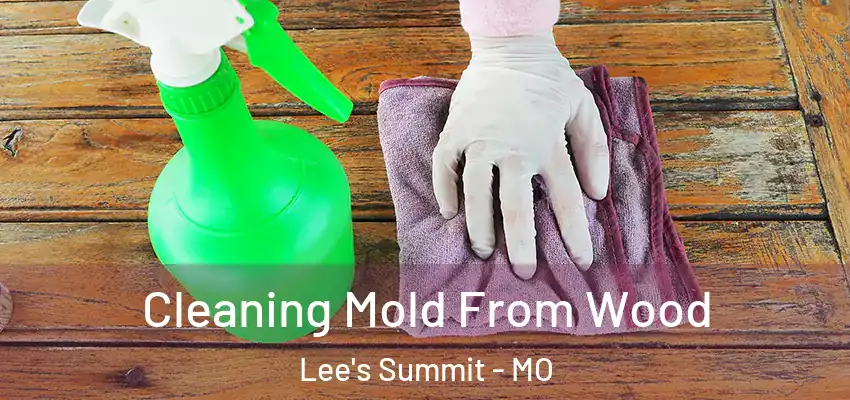  Cleaning Mold From Wood Lee's Summit - MO