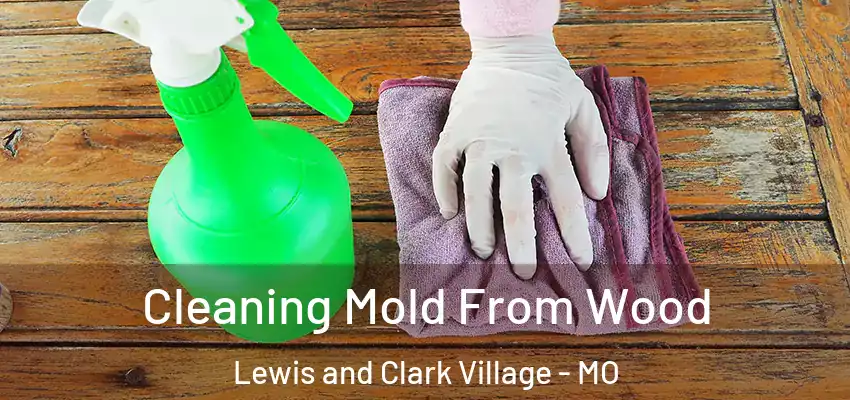  Cleaning Mold From Wood Lewis and Clark Village - MO