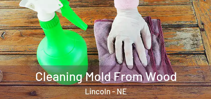  Cleaning Mold From Wood Lincoln - NE