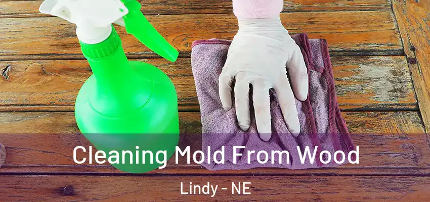  Cleaning Mold From Wood Lindy - NE