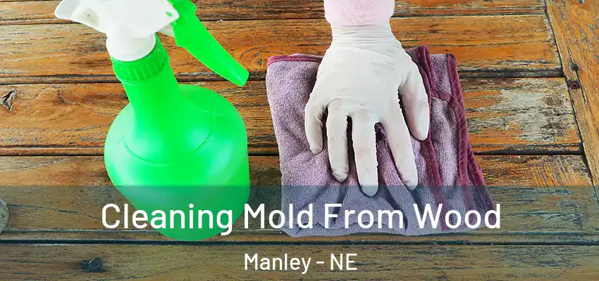  Cleaning Mold From Wood Manley - NE