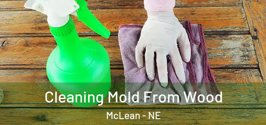  Cleaning Mold From Wood McLean - NE