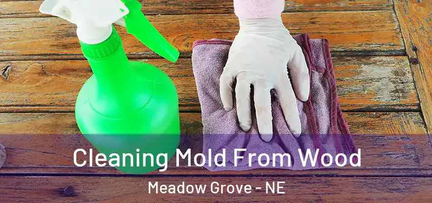 Cleaning Mold From Wood Meadow Grove - NE