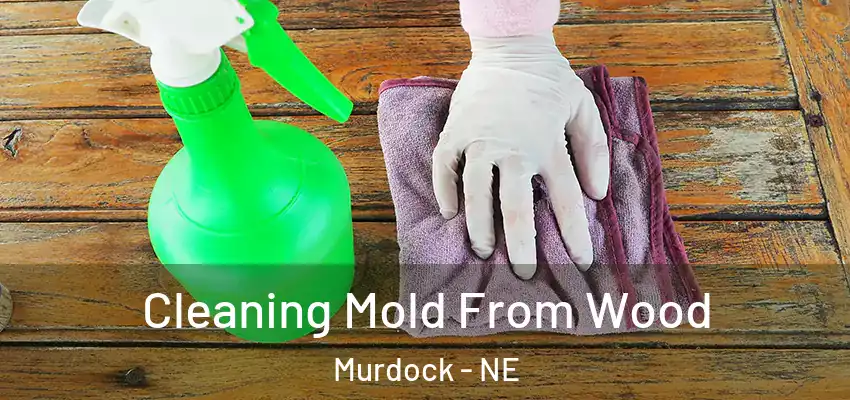 Cleaning Mold From Wood Murdock - NE