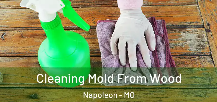  Cleaning Mold From Wood Napoleon - MO