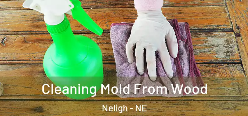  Cleaning Mold From Wood Neligh - NE