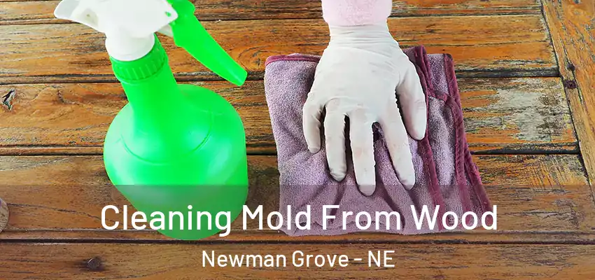  Cleaning Mold From Wood Newman Grove - NE