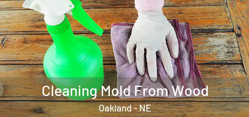  Cleaning Mold From Wood Oakland - NE