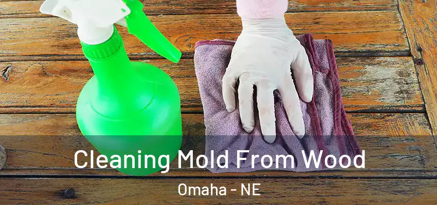  Cleaning Mold From Wood Omaha - NE