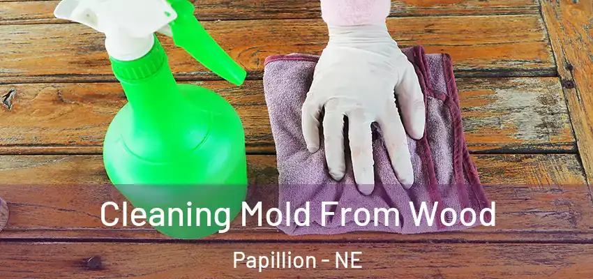  Cleaning Mold From Wood Papillion - NE