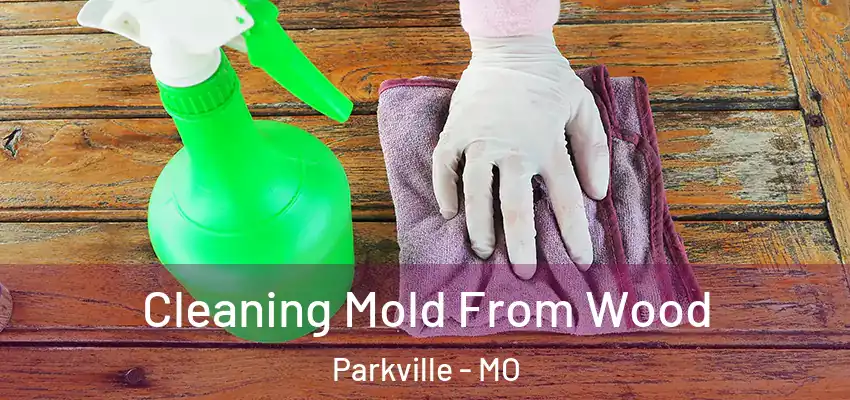 Cleaning Mold From Wood Parkville - MO