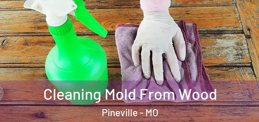  Cleaning Mold From Wood Pineville - MO