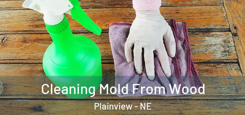 Cleaning Mold From Wood Plainview - NE