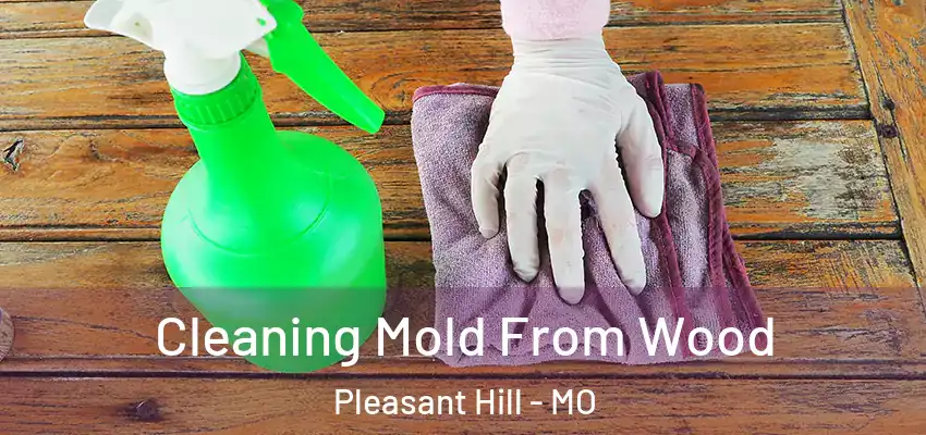  Cleaning Mold From Wood Pleasant Hill - MO