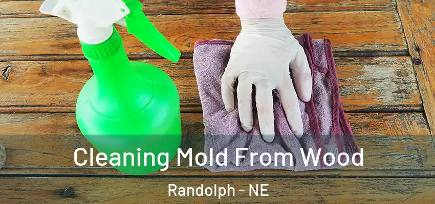 Cleaning Mold From Wood Randolph - NE