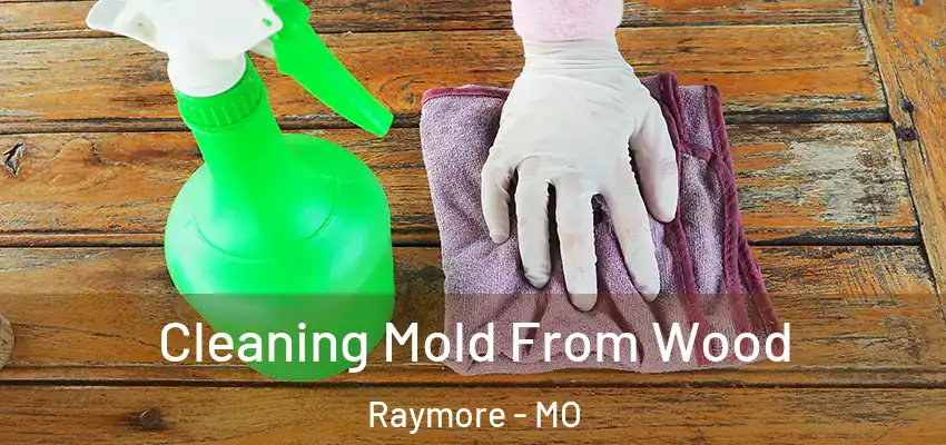 Cleaning Mold From Wood Raymore - MO