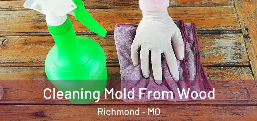 Cleaning Mold From Wood Richmond - MO