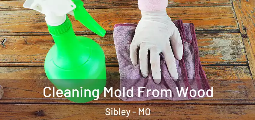  Cleaning Mold From Wood Sibley - MO