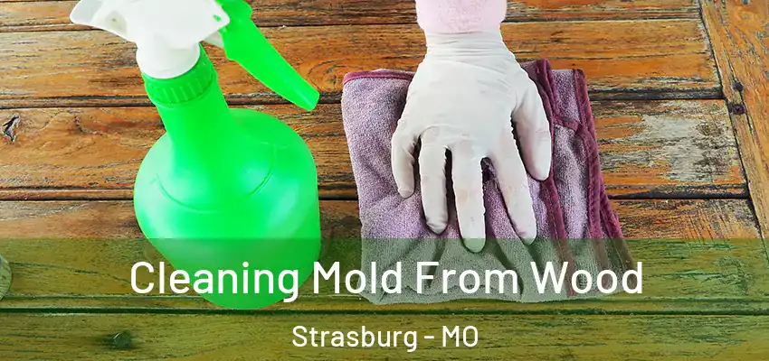  Cleaning Mold From Wood Strasburg - MO