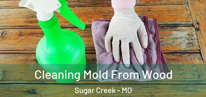  Cleaning Mold From Wood Sugar Creek - MO