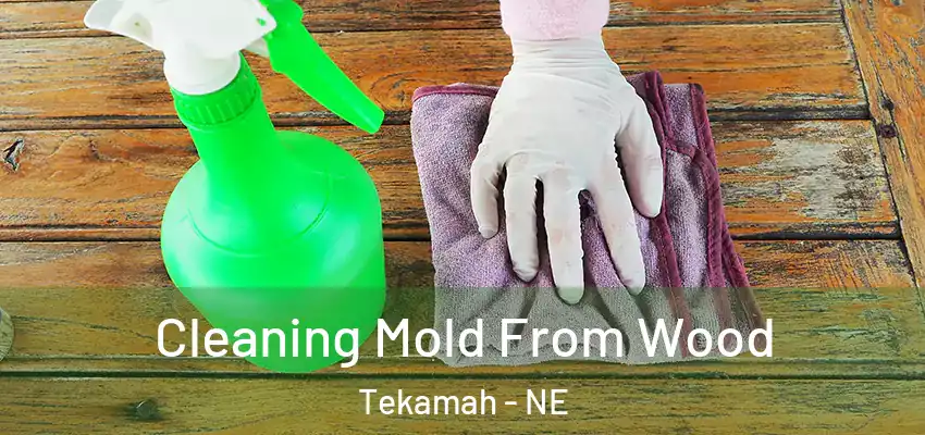  Cleaning Mold From Wood Tekamah - NE
