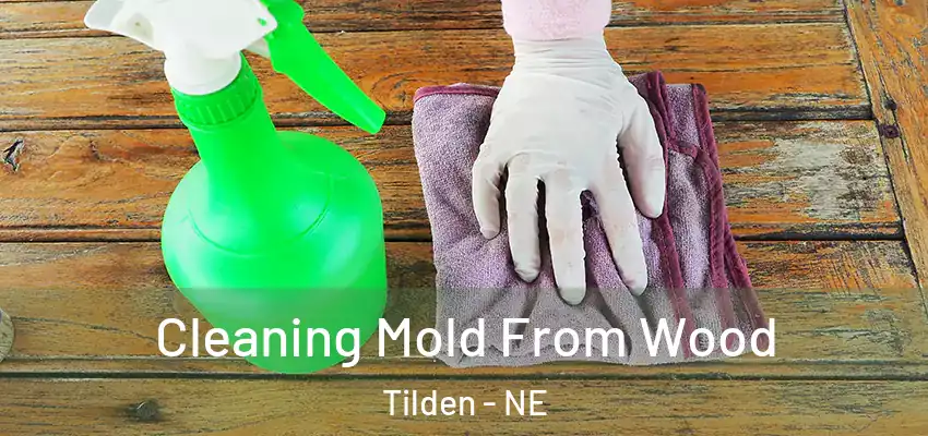  Cleaning Mold From Wood Tilden - NE