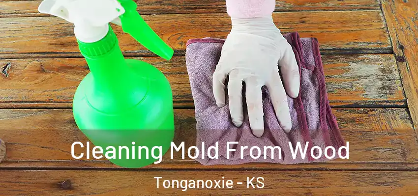 Cleaning Mold From Wood Tonganoxie - KS