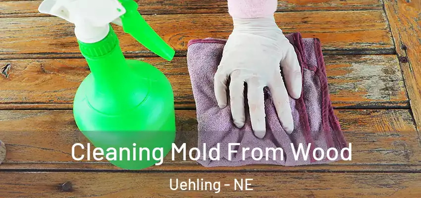  Cleaning Mold From Wood Uehling - NE