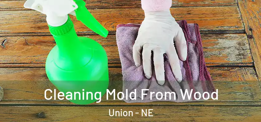  Cleaning Mold From Wood Union - NE