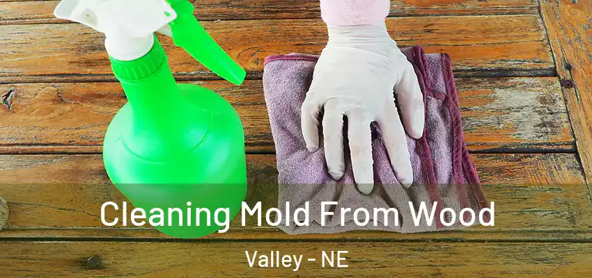  Cleaning Mold From Wood Valley - NE